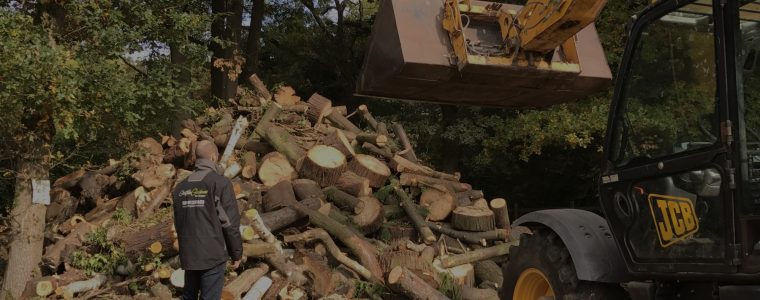 Firewood & Logs for Sale in London & Surrey